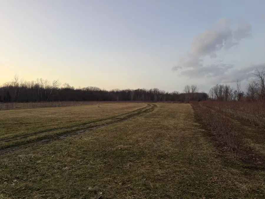 73122 36th Avenue, Covert, MI 49043 - #3