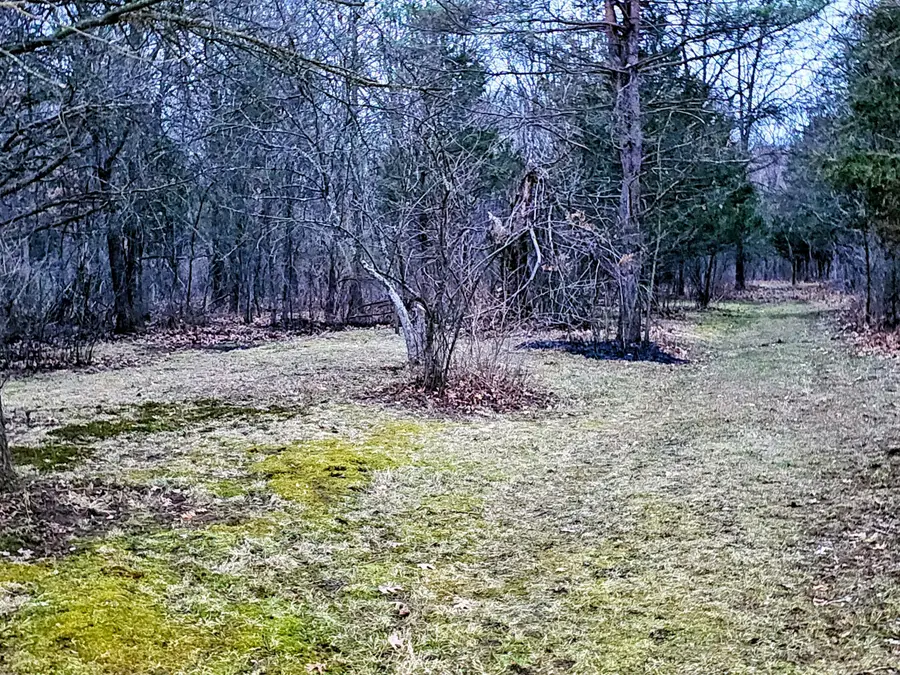 193 Ellis Road, Battle Creek, MI 49037 - #3