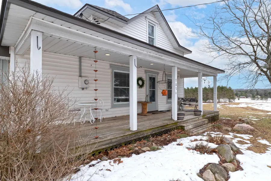 7076 N Raymond Road, Tustin, MI 49688 - #2