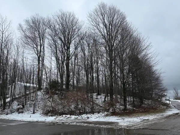 W Snead Drive, Ludington, MI 49431