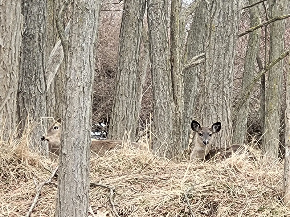 0 Twelfth Street, Manistee, MI 49660 - #1