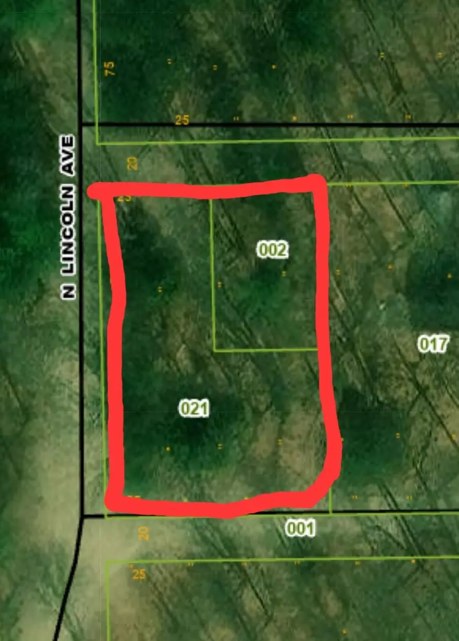 947 W Locust Street, White Cloud, MI 49349 - #2