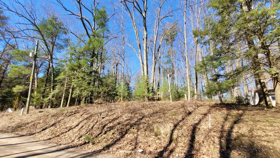 947 W Locust Street, White Cloud, MI 49349 - #3