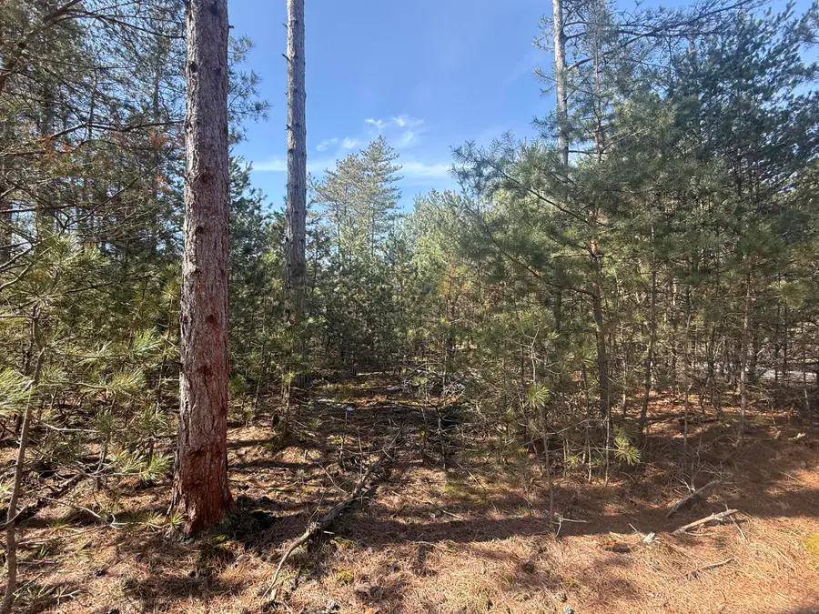V/L W Pine Acres Trail, Hart, MI 49420 - #3