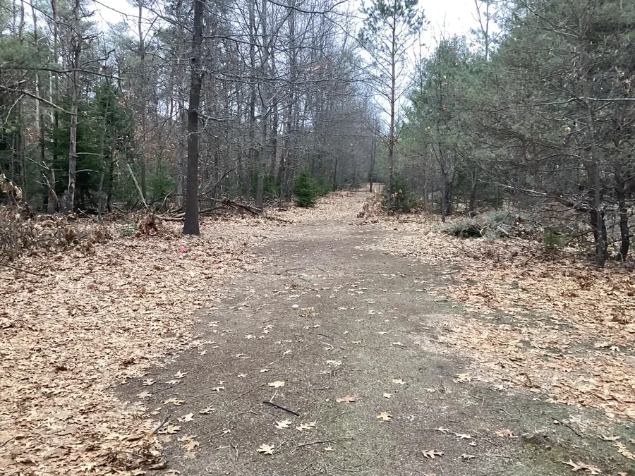 2510 W Winston Road, Rothbury, MI 49452 - #2