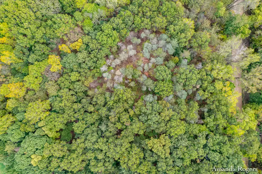 0 Sayles Road, Saranac, MI 48881 - #3