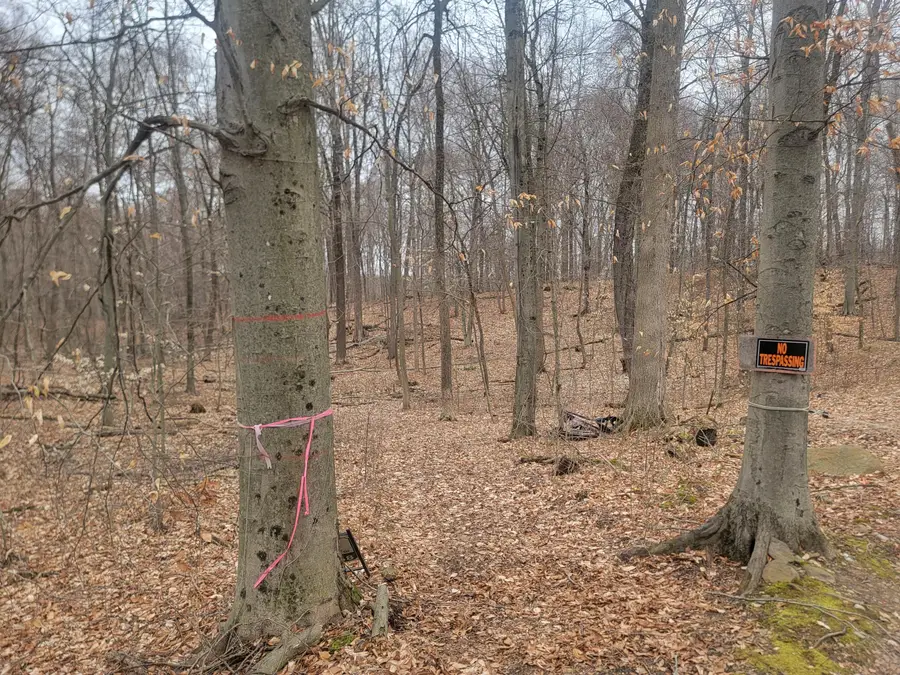 8572 Anchor Drive, Delton, MI 49046 - #2