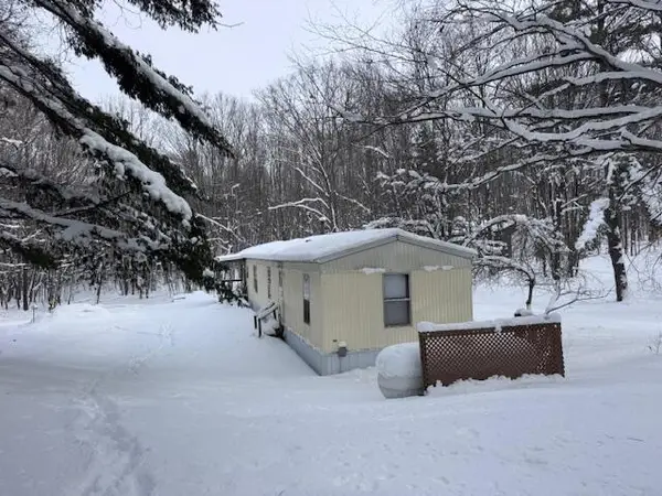 40+/- Acres 48th Street, Chase, MI 49623