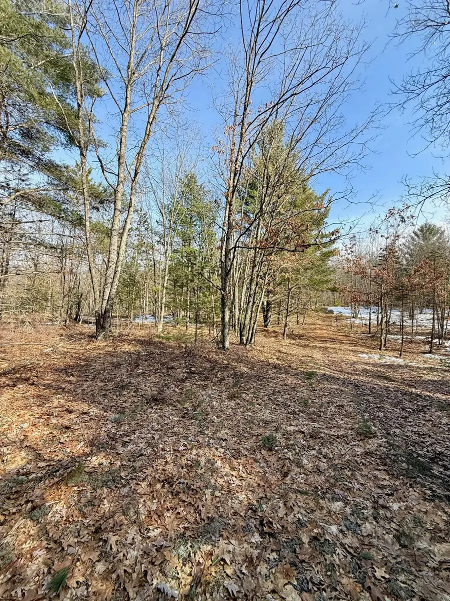 VL N Merrillville Road, Baldwin, MI 49304 - #2