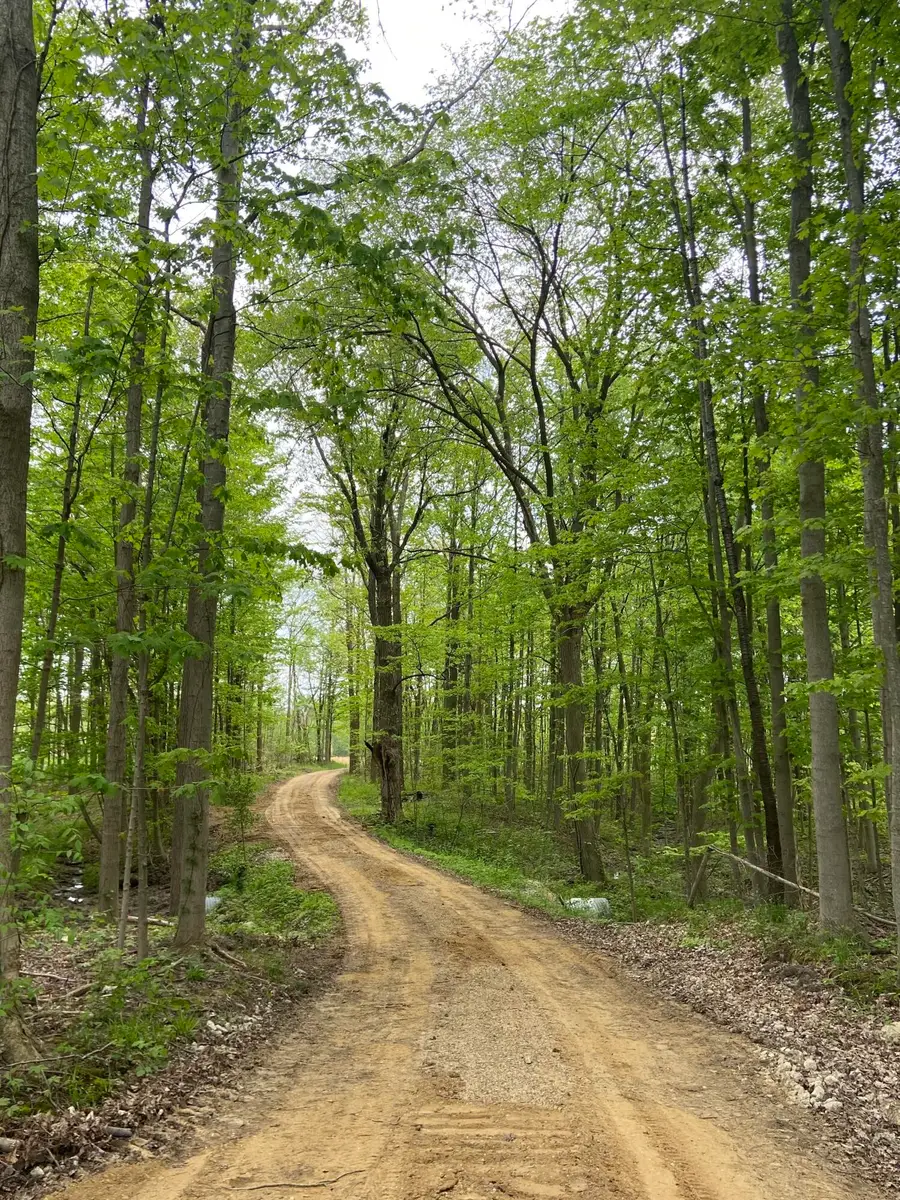 42733 Cr 390, Bloomingdale, MI 49026 - #3