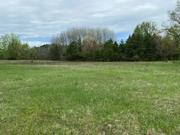 3878 E 2 Mile Road, White Cloud, MI 49349