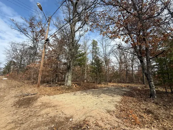 VL Yale Avenue, Baldwin, MI 49304