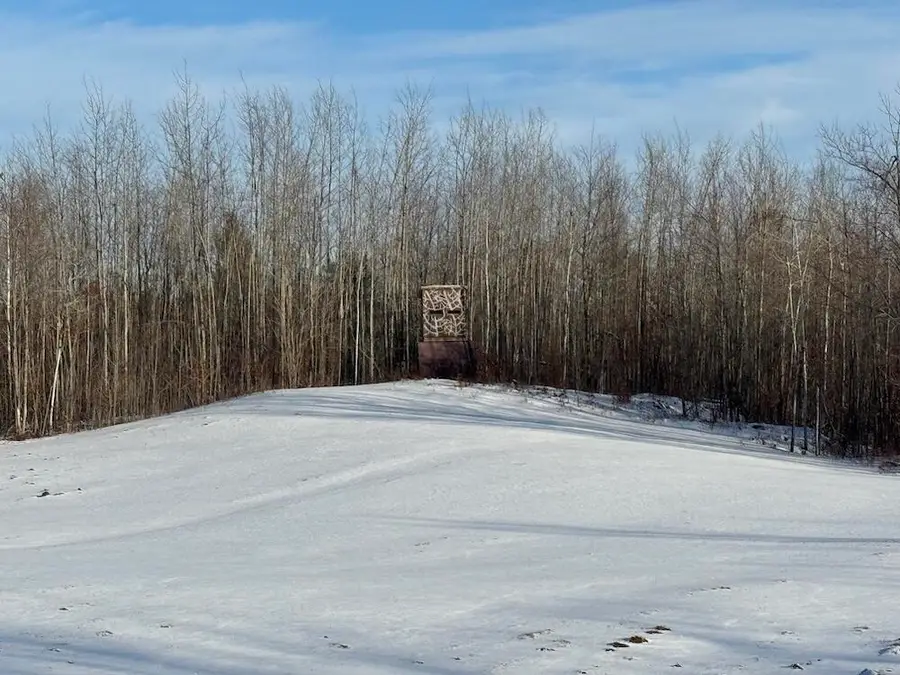 80 acres Galbrith Road, Mio, MI 48647 - #2