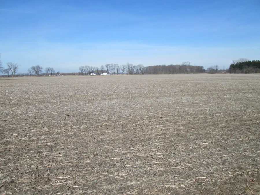 V/L W Lemon Creek Road #3, Baroda, MI 49101 - #2