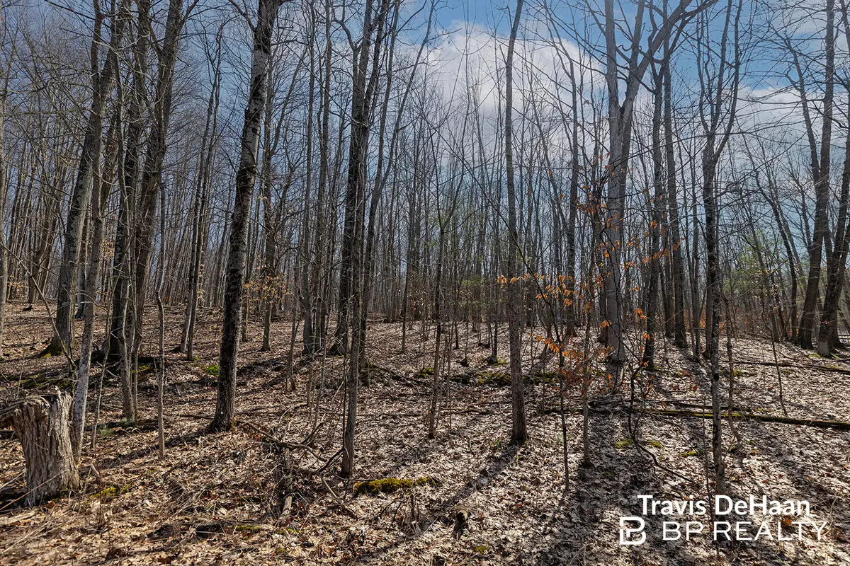 9310 S Benjamin Drive, Newaygo, MI 49337 - #1