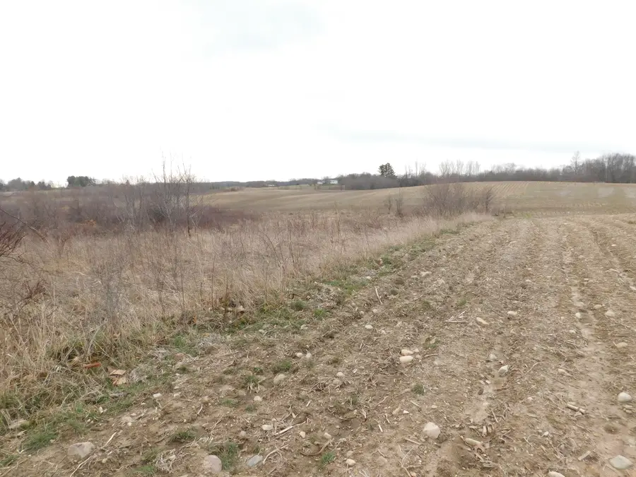 Cox Road, Bellevue, MI 49021 - #3