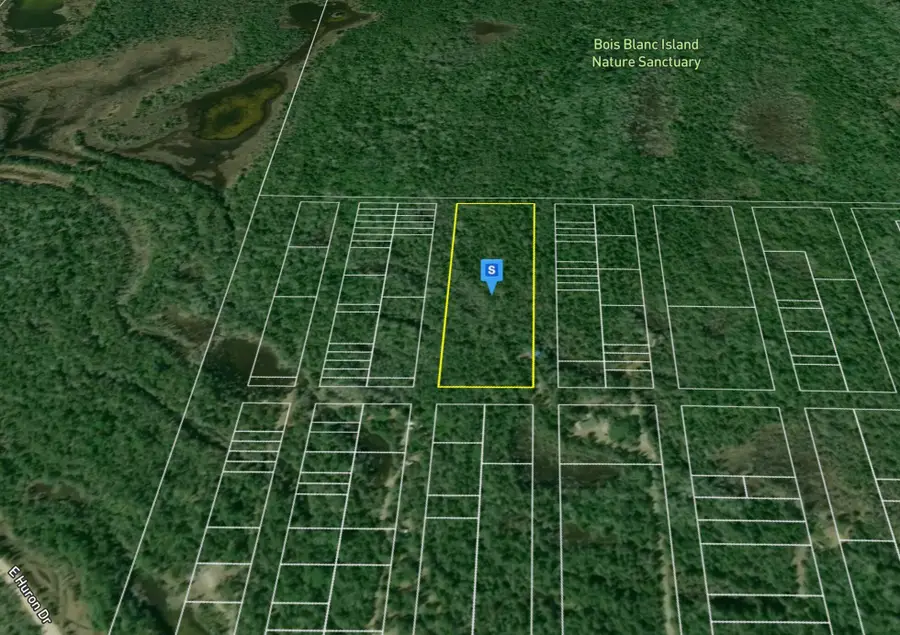 1251 Erie Street, Pointe Aux Pins, MI 49775 - #3