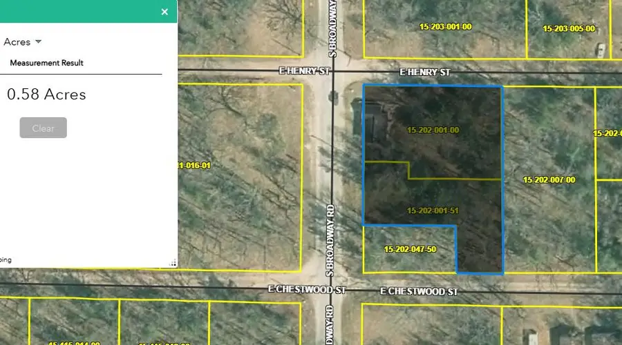 6176 S Broadway Street, Idlewild, MI 49642 - #3