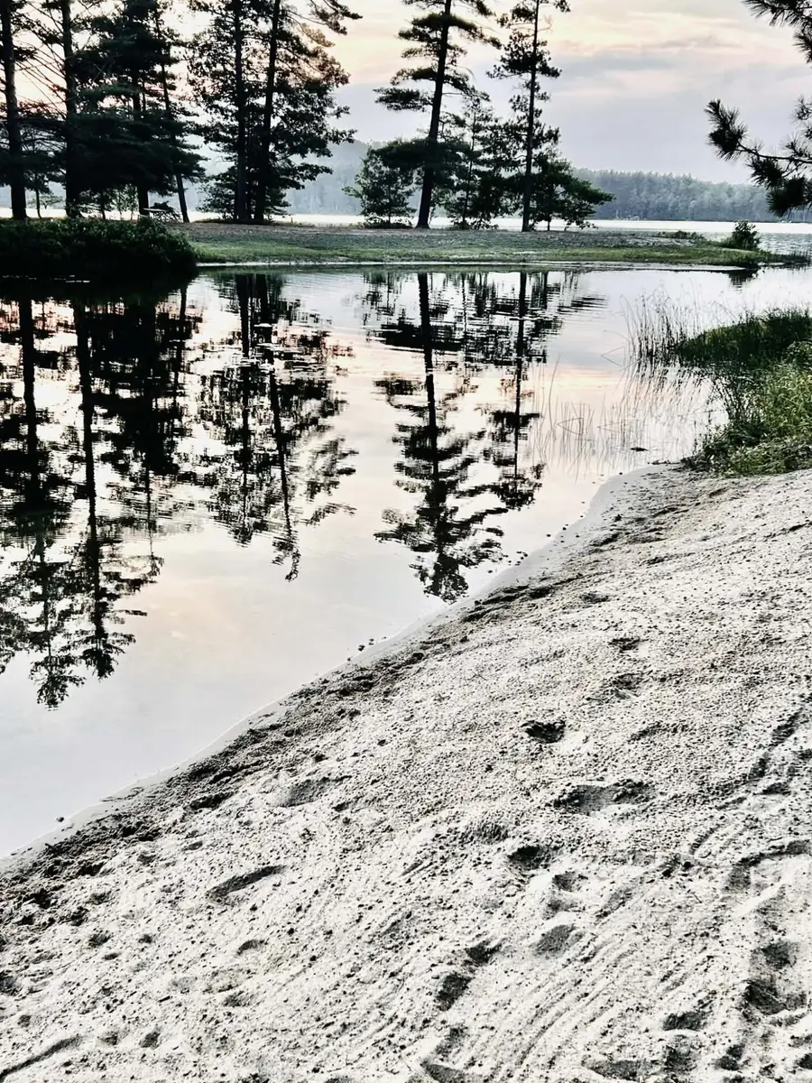 11760 Fantasy Drive, Frederic, MI 49733 - #3