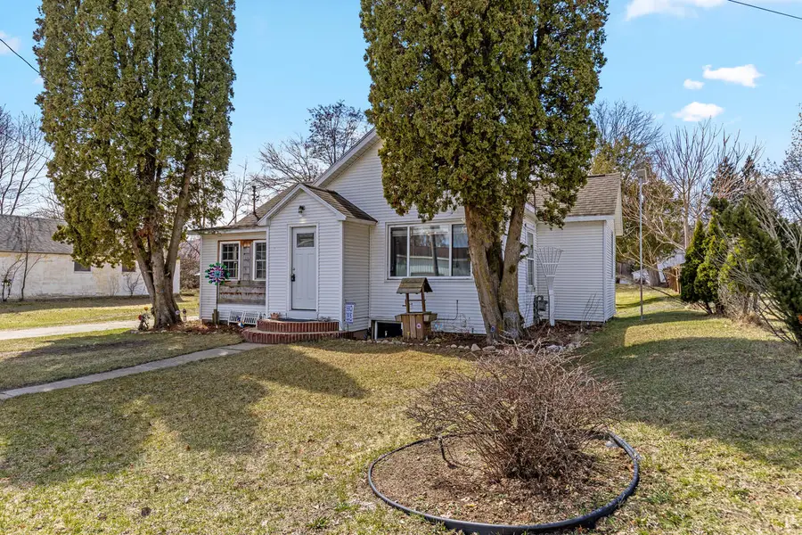 125 N A Street, Trufant, MI 49347 - #2