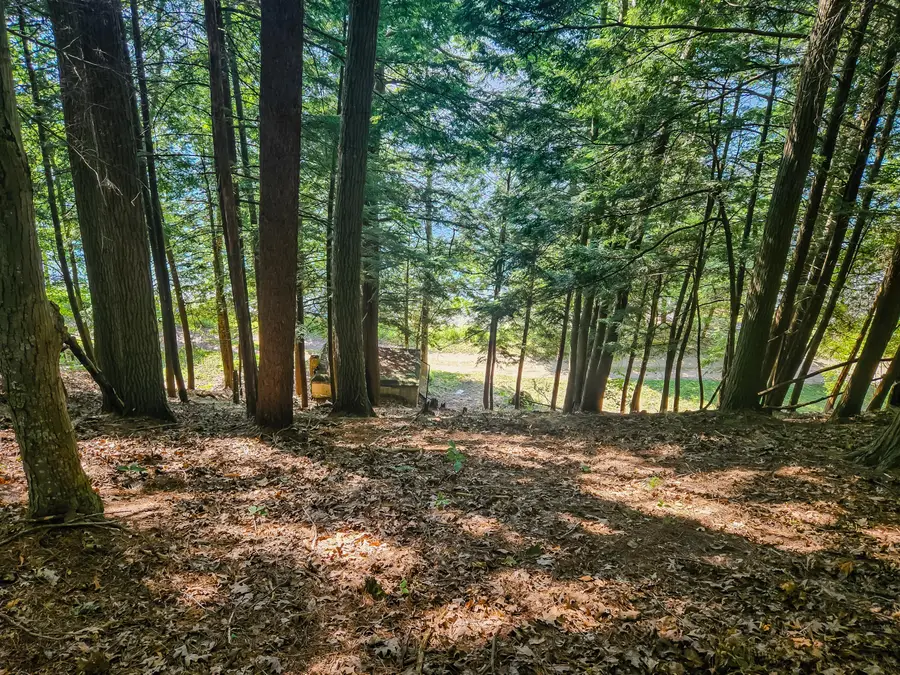 5341 N Benson Road, Fountain, MI 49410 - #3