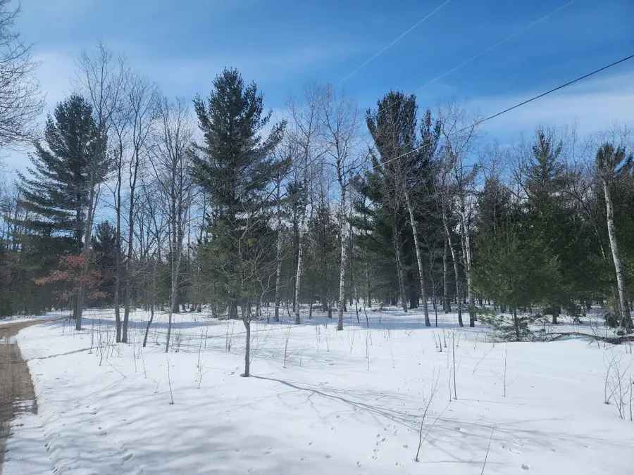 Hall Creek Road, Interlochen, MI 49643 - #2