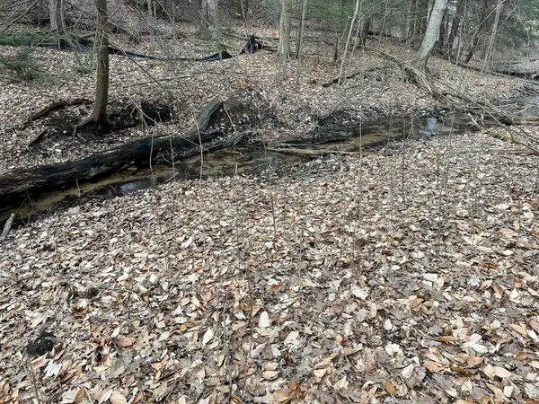 V/L S Beaune Road, Ludington, MI 49431