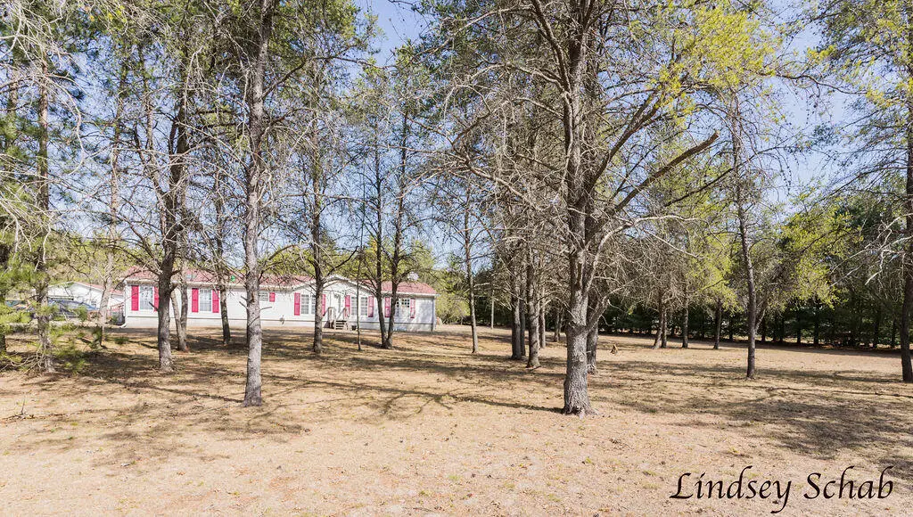 2211 E 13 Mile Road, Bitely, MI 49309 - #1