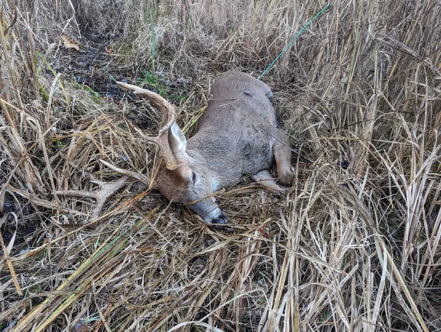 County Road 376, Bangor, MI 49013 - #3