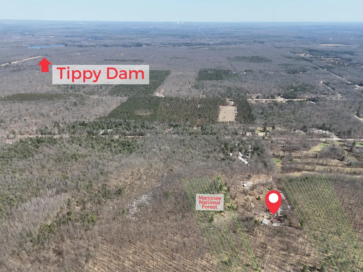 460 Seaman Road, Wellston, MI 49689 - #1