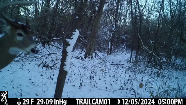 27 C Drive N, Albion, MI 49224 - #3