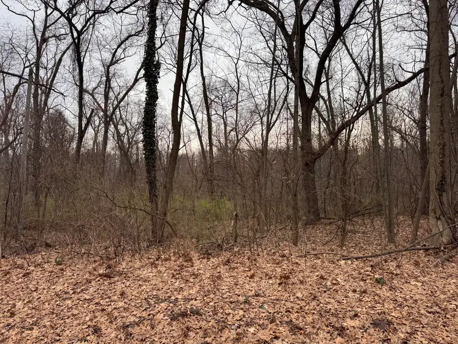 Lakeview Drive, Dowagiac, MI 49047 - #2