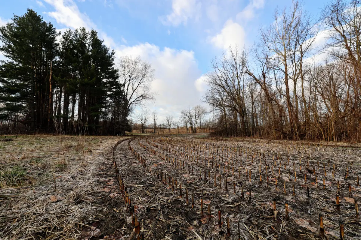 VL W Glendora Road, Buchanan, MI 49107 - #1