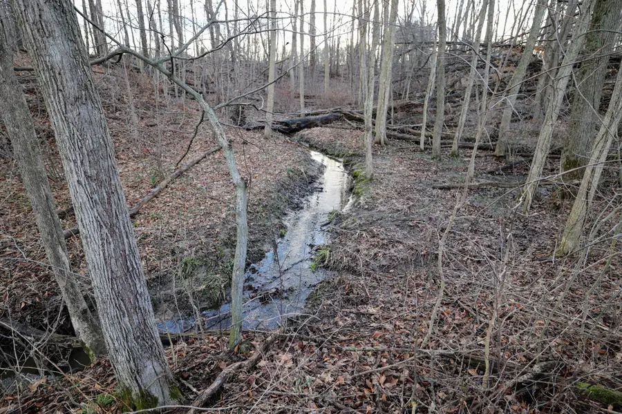 VL W Glendora Road, Buchanan, MI 49107 - #3