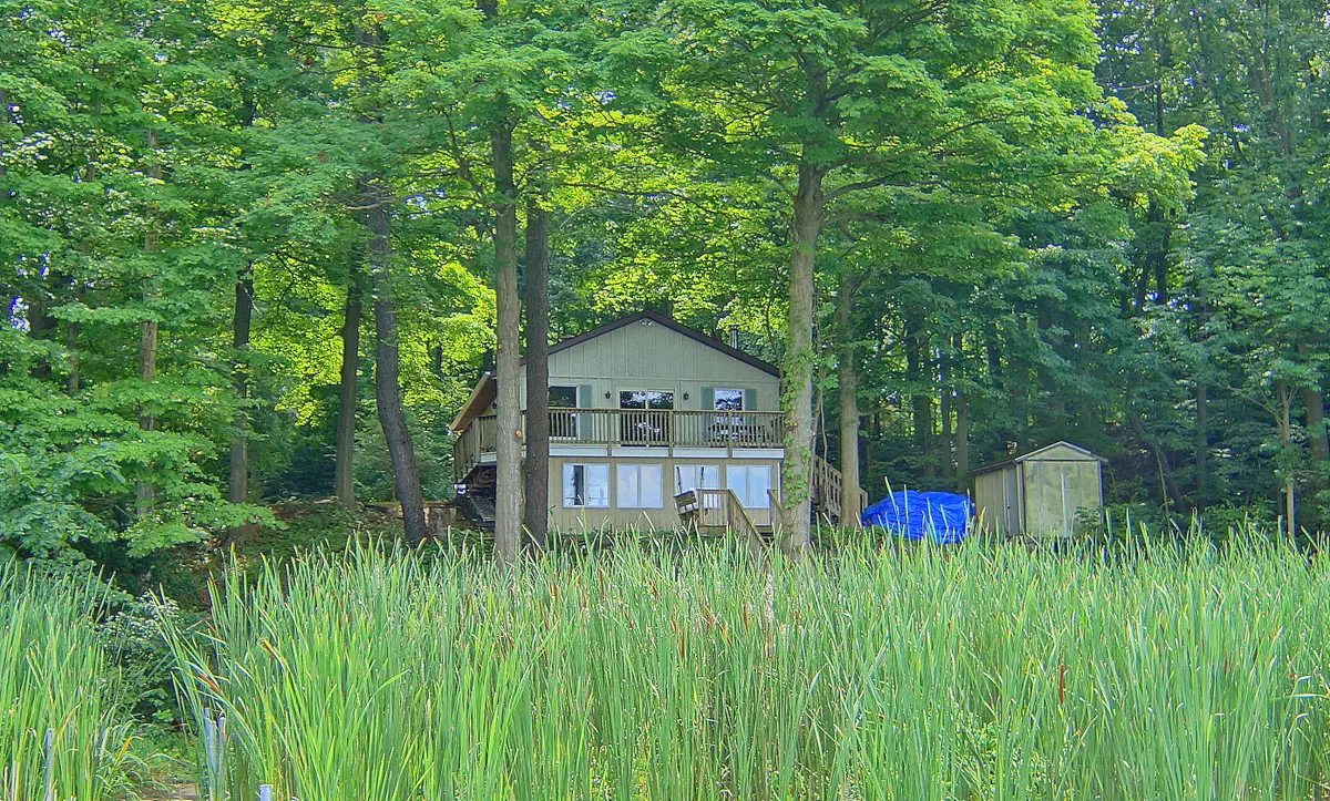 10749 Kings Lane, Berrien Springs, MI 49103 - #1