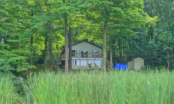 10749 Kings Lane, Berrien Springs, MI 49103