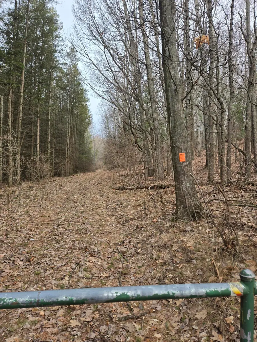 VL W Deer Road, Mears, MI 49436 - #3