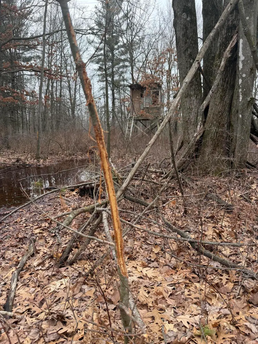 13709 S Fenmore Road, Brant, MI 48614 - #3