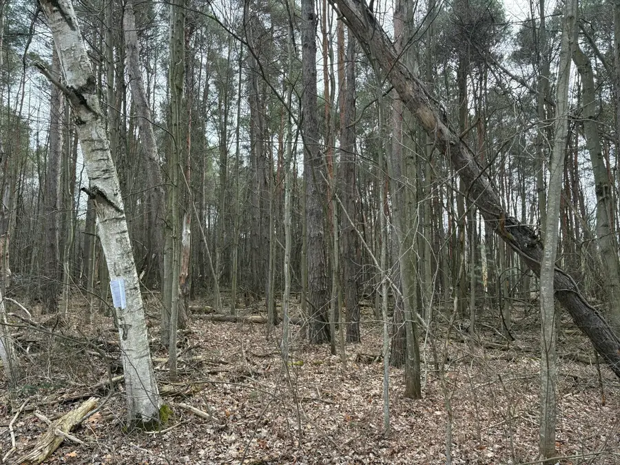 1512, 1476 22 Mile Road Nw, Kent City, MI 49330 - #2