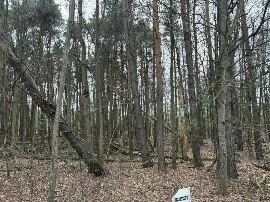 1512, 1476 22 Mile Road Nw, Kent City, MI 49330 - #3