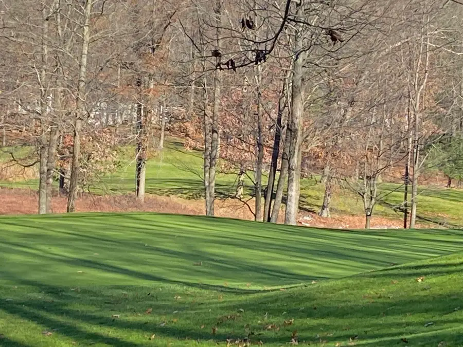 8975 Whispering Lane #234-235, Canadian Lakes, MI 49346 - #3