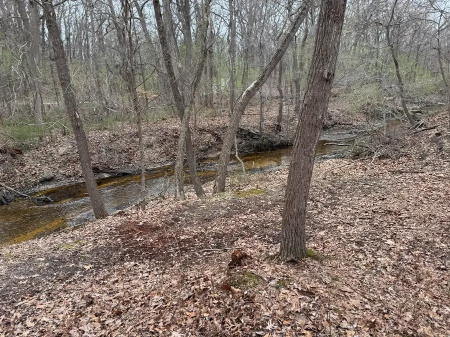 4202 Grand Bch Road, Michiana, MI 49117 - #3