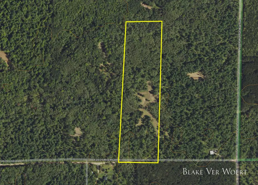 V/L 21A E 15 Mile Road, Bitely, MI 49309 - #3