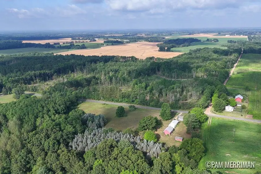 Parcel D Youngman Road, Trufant, MI 49347 - #2