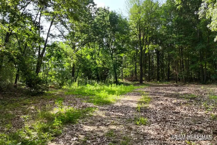 Parcel D Youngman Road, Trufant, MI 49347 - #3
