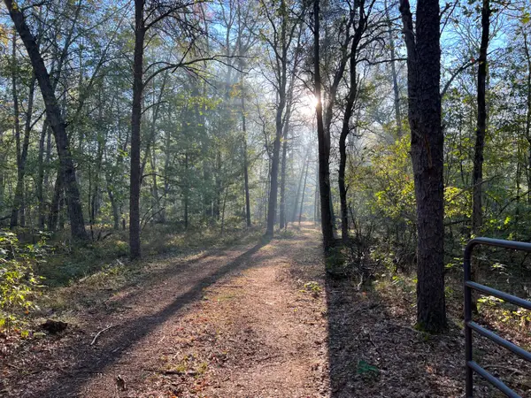 7230 S Kenwood Avenue, Baldwin, MI 49304