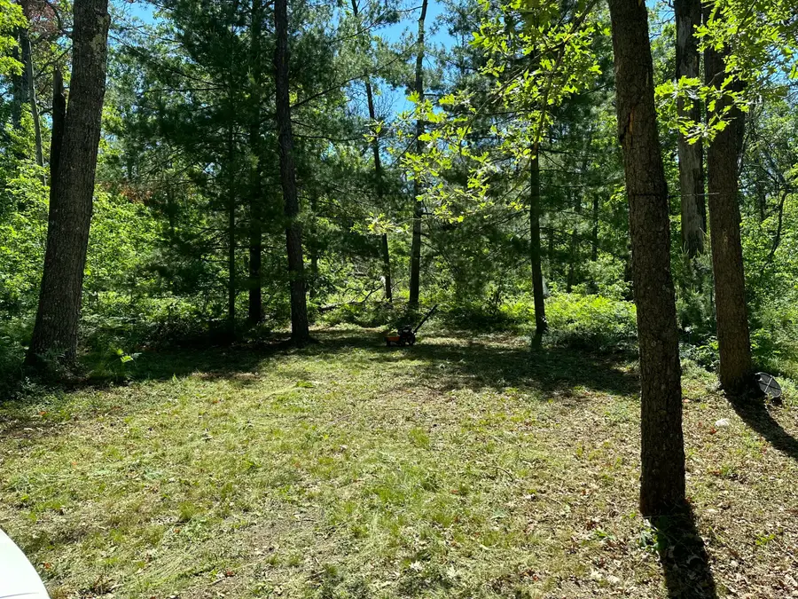 7230 S Kenwood Avenue, Baldwin, MI 49304 - #3