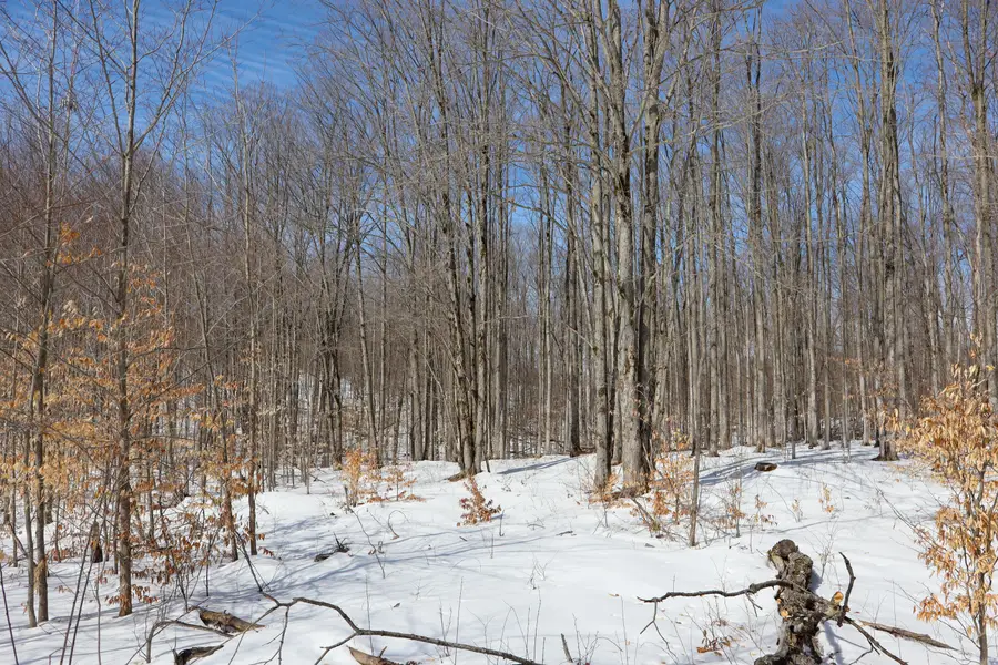 Walker Road Nw, Rapid City, MI 49676 - #3