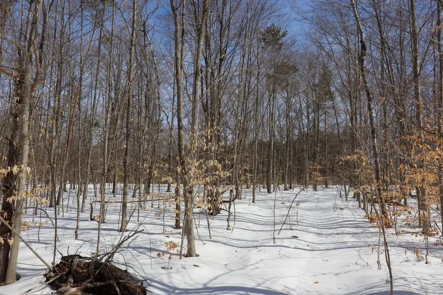 Walker Road Nw, Rapid City, MI 49676 - #2