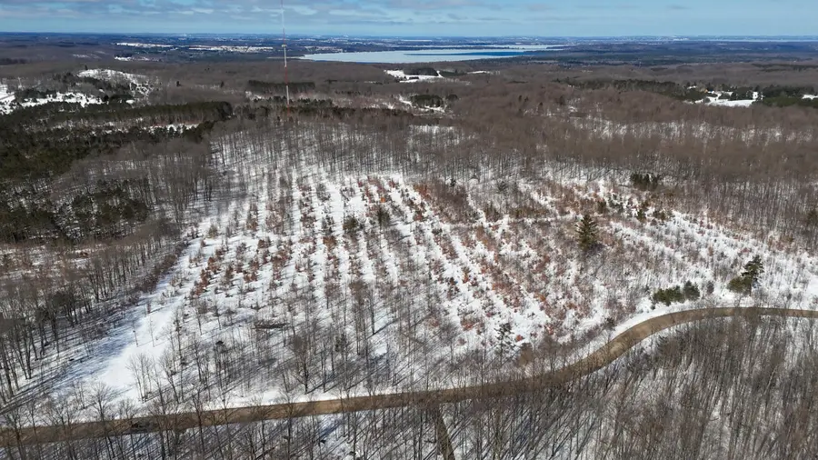 Walker Road Nw, Rapid City, MI 49676 - #2